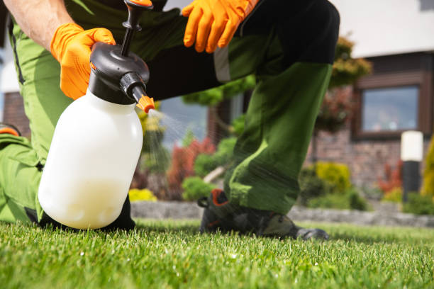 Best Emergency Pest Control  in Salina, KS