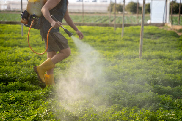 Best Best Pest Control Companies  in Salina, KS