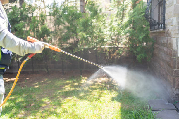 Best Bed Bug Extermination  in Salina, KS
