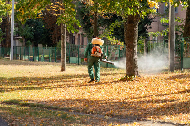 Best Wasp Removal Services  in Salina, KS