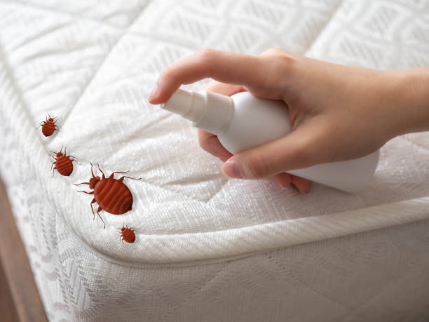 Best Pest Inspection Near Me  in Salina, KS
